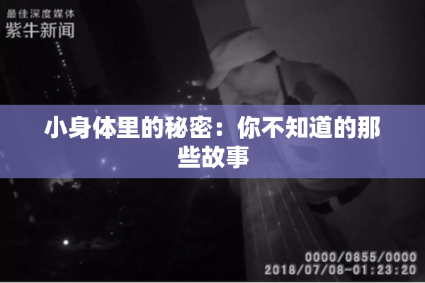 小身体里的秘密：你不知道的那些故事