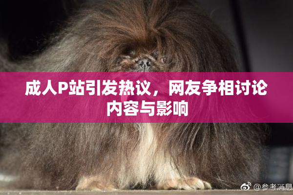成人P站引发热议，网友争相讨论内容与影响