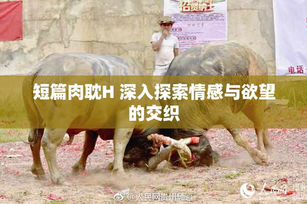 短篇肉耽H 深入探索情感与欲望的交织
