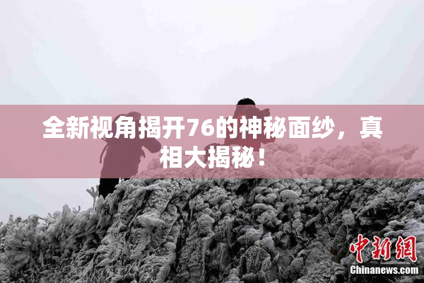 全新视角揭开76的神秘面纱，真相大揭秘！