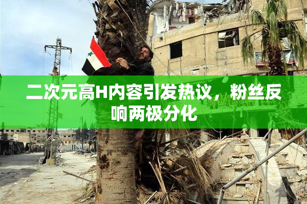 二次元高H内容引发热议，粉丝反响两极分化