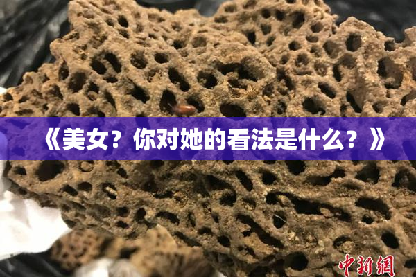 《美女？你对她的看法是什么？》