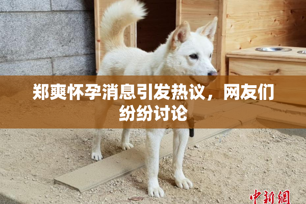 郑爽怀孕消息引发热议，网友们纷纷讨论
