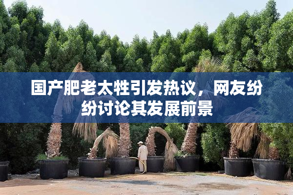 国产肥老太牲引发热议，网友纷纷讨论其发展前景