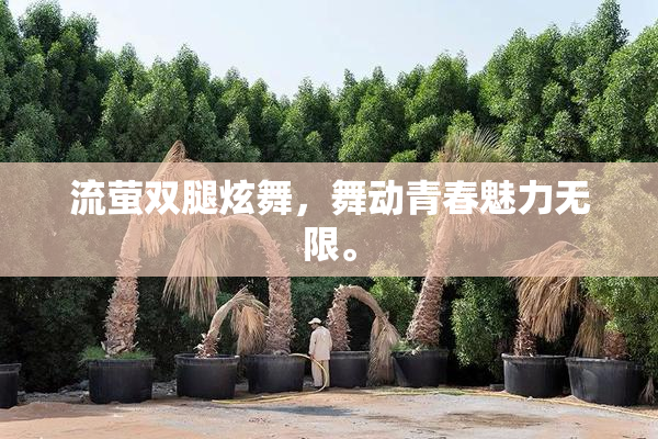 流萤双腿炫舞，舞动青春魅力无限。