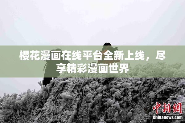 樱花漫画在线平台全新上线，尽享精彩漫画世界
