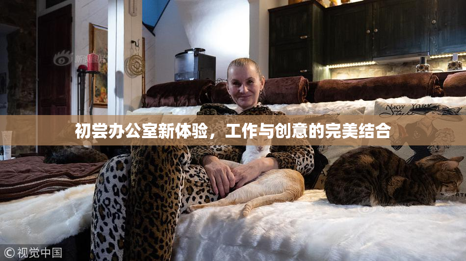 初尝办公室新体验，工作与创意的完美结合