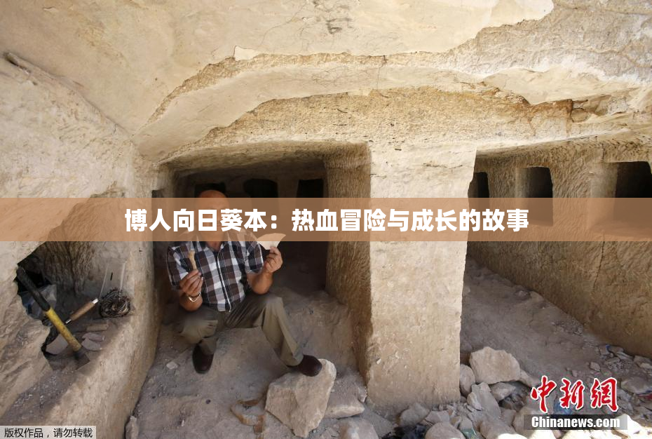 博人向日葵本：热血冒险与成长的故事