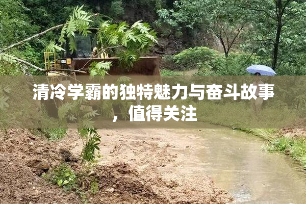 清冷学霸的独特魅力与奋斗故事，值得关注