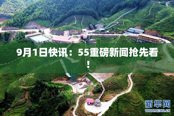 9月1日快讯：55重磅新闻抢先看！
