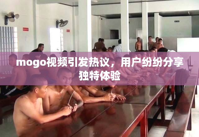 mogo视频引发热议，用户纷纷分享独特体验