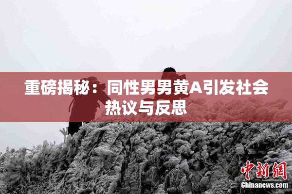 重磅揭秘：同性男男黄A引发社会热议与反思