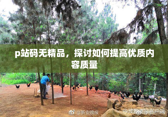 p站码无精品，探讨如何提高优质内容质量