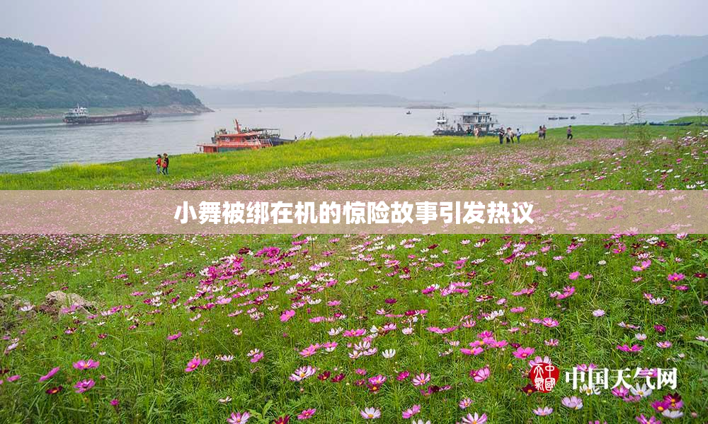 小舞被绑在机的惊险故事引发热议
