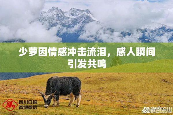 少萝因情感冲击流泪，感人瞬间引发共鸣