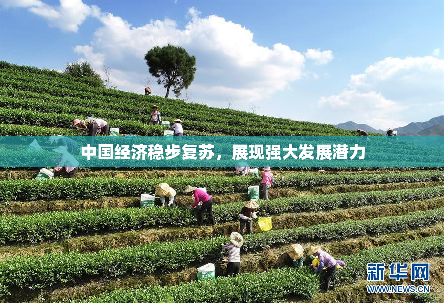 中国经济稳步复苏，展现强大发展潜力