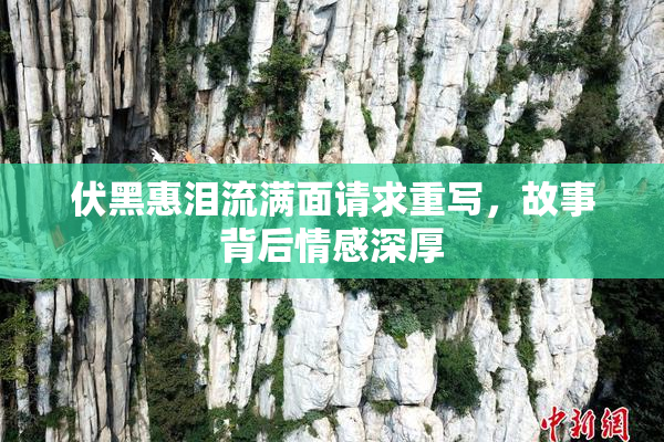 伏黑惠泪流满面请求重写，故事背后情感深厚