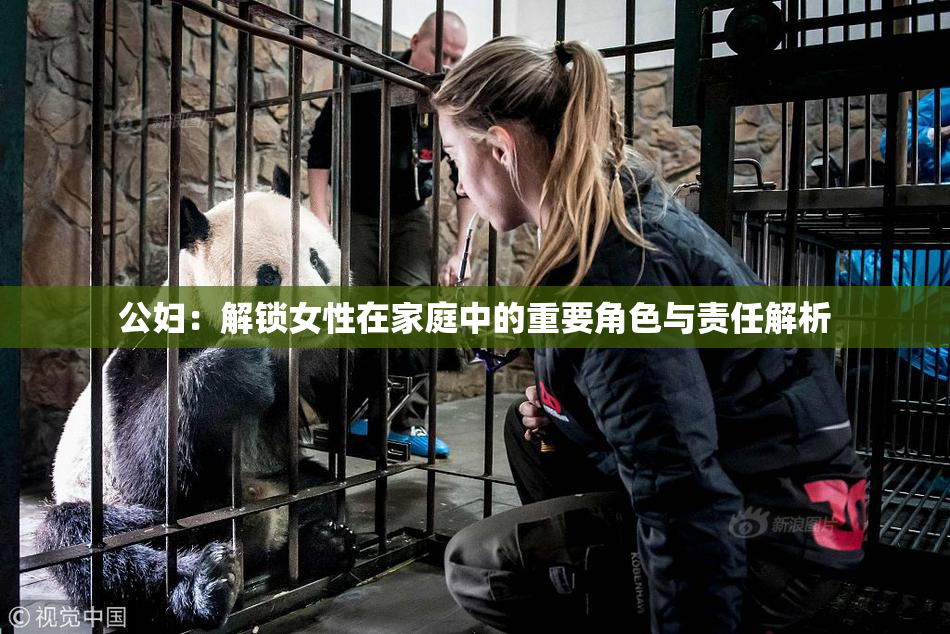 公妇：解锁女性在家庭中的重要角色与责任解析