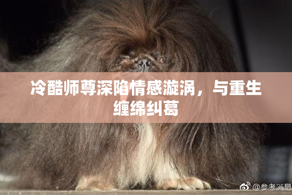 冷酷师尊深陷情感漩涡，与重生缠绵纠葛