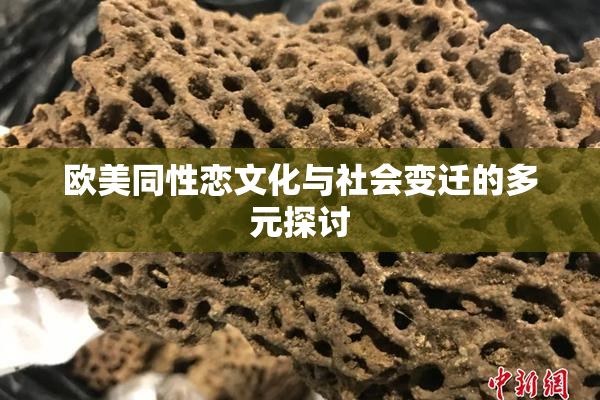 欧美同性恋文化与社会变迁的多元探讨