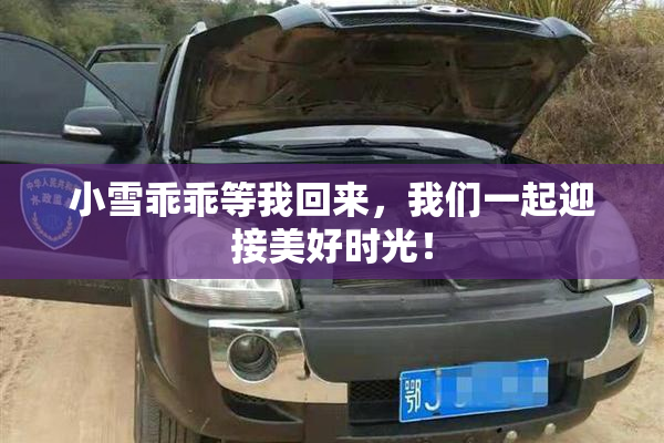 小雪乖乖等我回来，我们一起迎接美好时光！