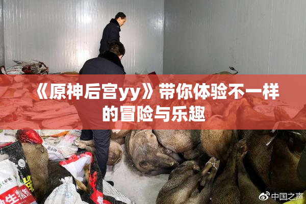 《原神后宫yy》带你体验不一样的冒险与乐趣