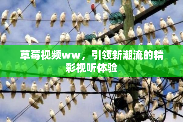 草莓视频ww，引领新潮流的精彩视听体验