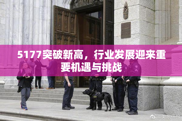5177突破新高，行业发展迎来重要机遇与挑战