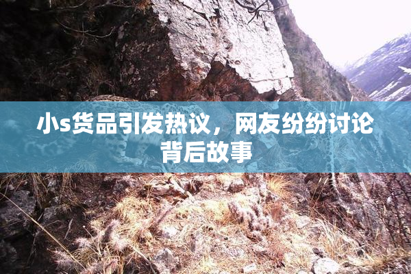 小s货品引发热议，网友纷纷讨论背后故事