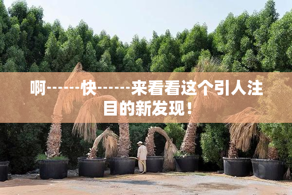 啊┅┅快┅┅来看看这个引人注目的新发现！
