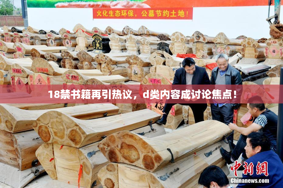 18禁书籍再引热议，d类内容成讨论焦点！