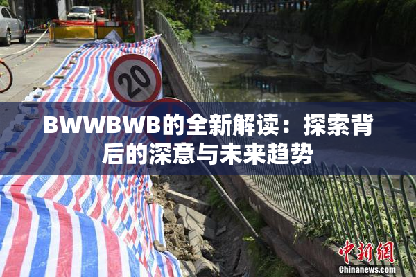 BWWBWB的全新解读：探索背后的深意与未来趋势