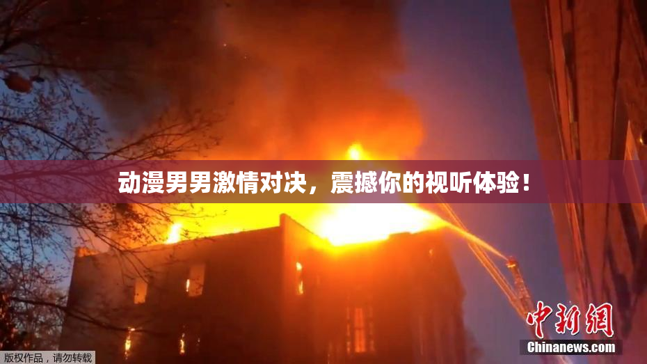动漫男男激情对决，震撼你的视听体验！