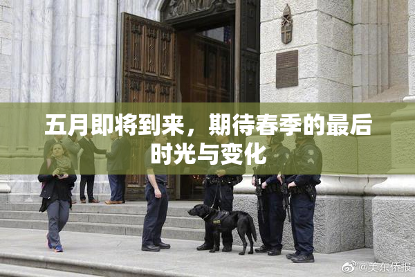 五月即将到来，期待春季的最后时光与变化