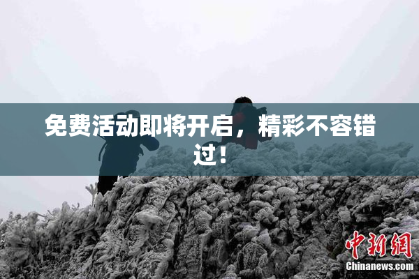 免费活动即将开启，精彩不容错过！
