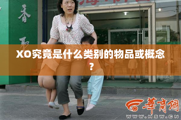 XO究竟是什么类别的物品或概念？