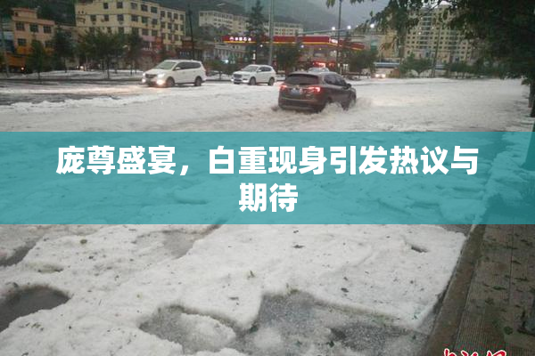庞尊盛宴，白重现身引发热议与期待