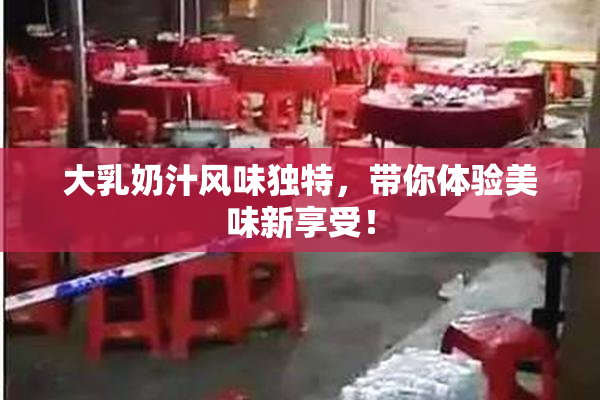 大乳奶汁风味独特，带你体验美味新享受！