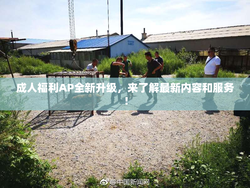 成人福利AP全新升级，来了解最新内容和服务！