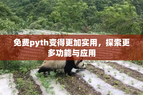 免费pyth变得更加实用，探索更多功能与应用
