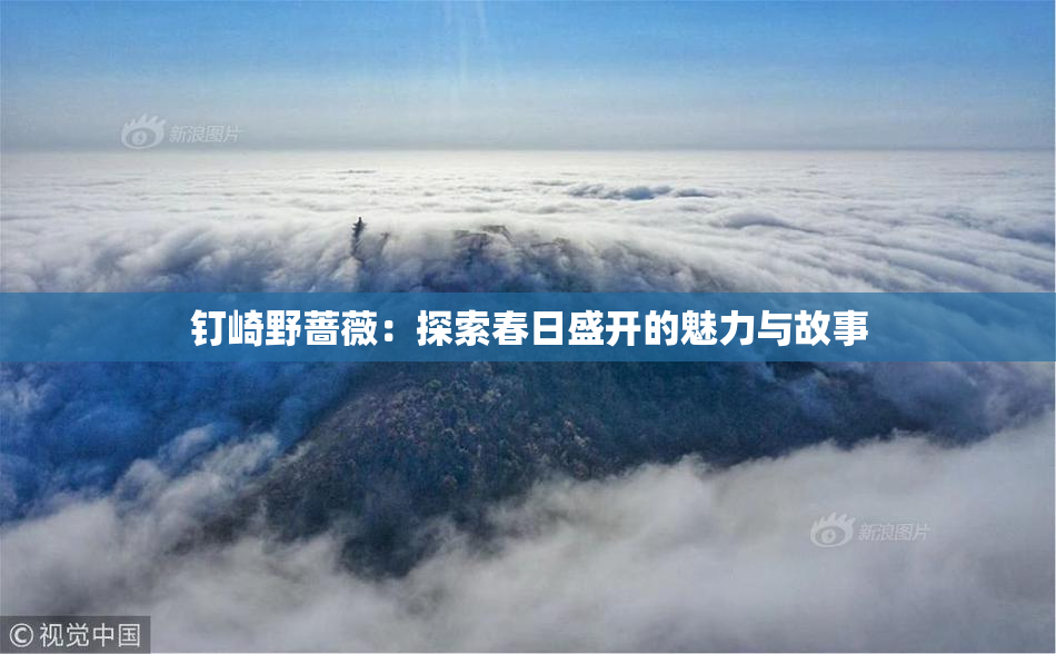 钉崎野蔷薇：探索春日盛开的魅力与故事