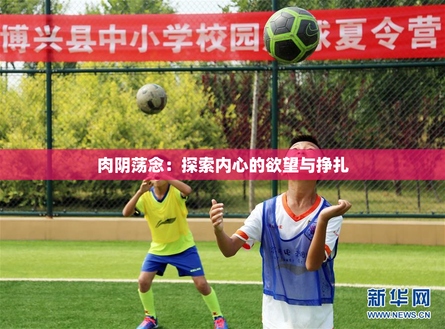 肉阴荡念：探索内心的欲望与挣扎