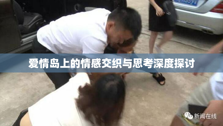 爱情岛上的情感交织与思考深度探讨