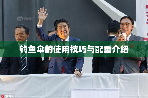 钓鱼伞的使用技巧与配重介绍
