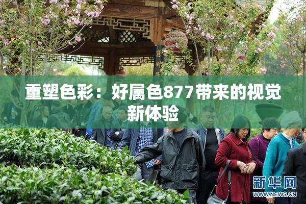 重塑色彩：好属色877带来的视觉新体验
