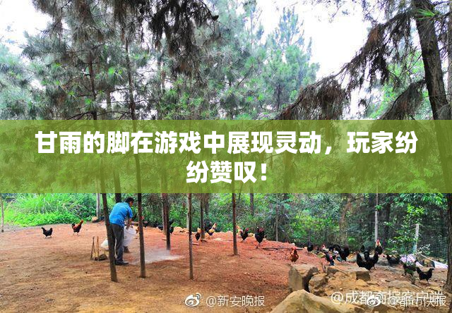 甘雨的脚在游戏中展现灵动，玩家纷纷赞叹！