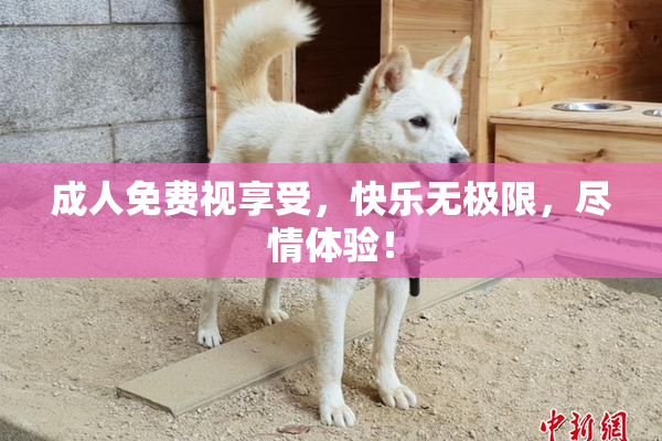 成人免费视享受，快乐无极限，尽情体验！