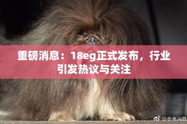 重磅消息：18eg正式发布，行业引发热议与关注