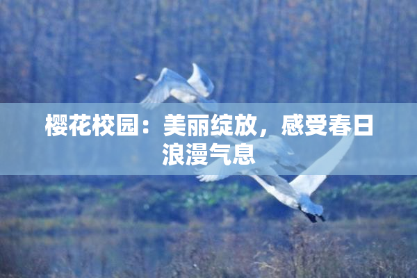 樱花校园：美丽绽放，感受春日浪漫气息