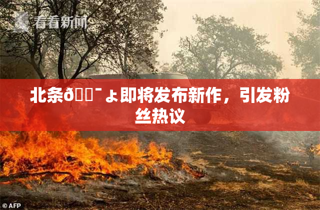 北条🔯ょ即将发布新作，引发粉丝热议